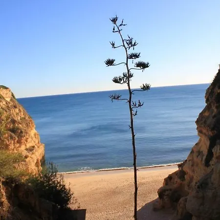 Apartman Casa Carmen Albufeira