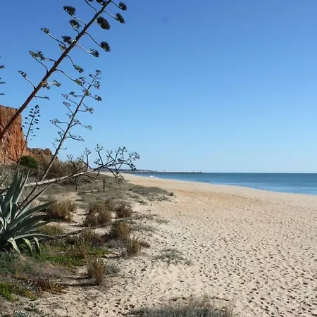 Apartment Casa Carmen Albufeira